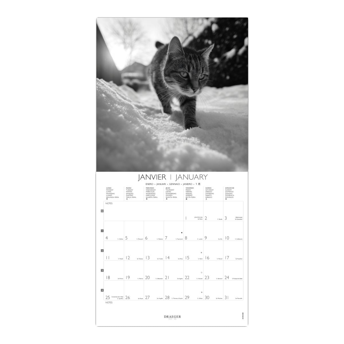 Calendario 2027, 16 Meses (Setembro-Dezembro), Mês Vista por Página com Motivos de Gatos Branco e Preto Draeger Estampado/Branco-2