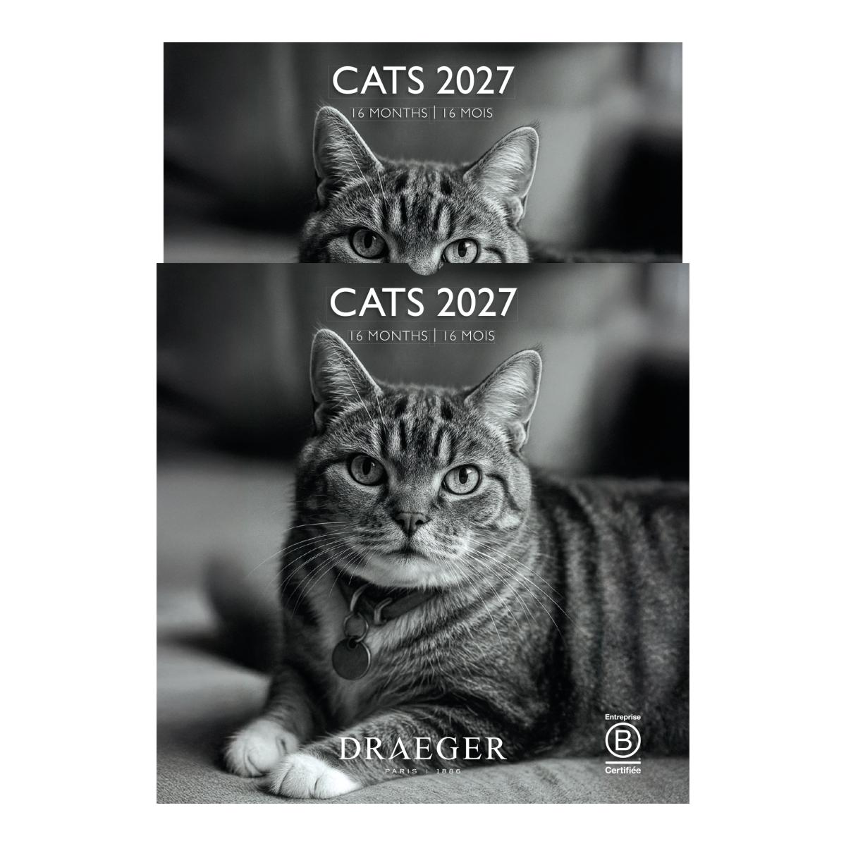 Calendario 2027, 16 Meses (Setembro-Dezembro), Mês Vista por Página com Motivos de Gatos Branco e Preto Draeger Estampado/Branco-4