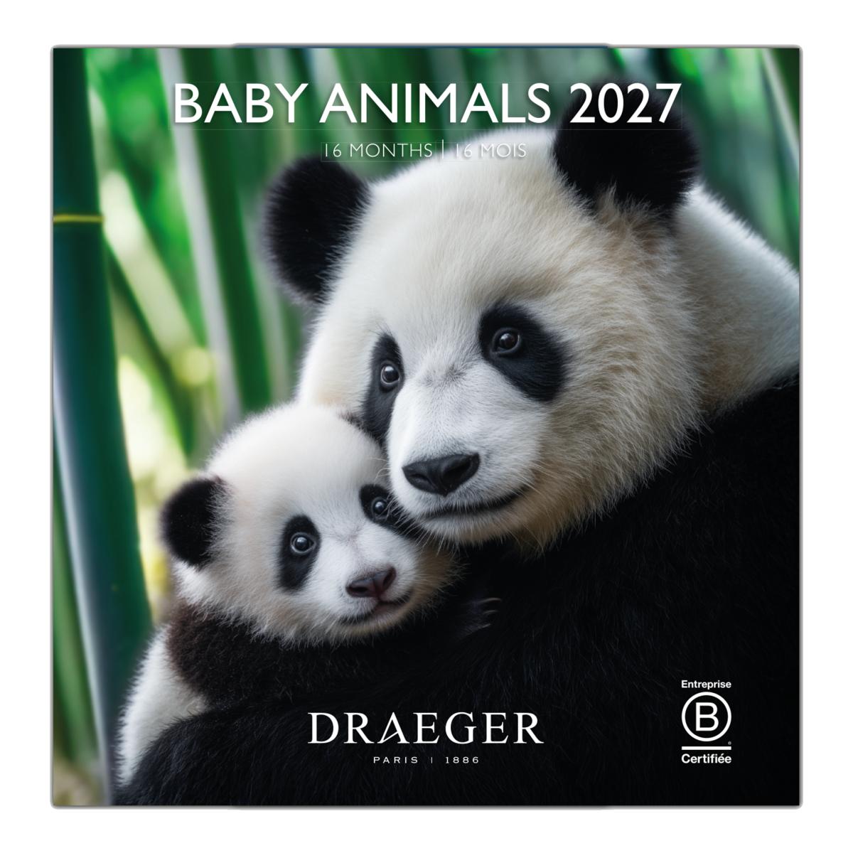 Imagem 0 de Calendario 2027, 16 Meses (Setembro-Dezembro), Mês Vista por Página com Motivos de Baby Animals Draeger
