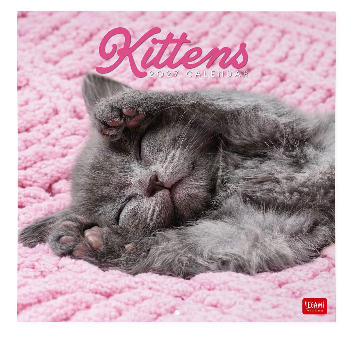 Imagen 0 de Calendario 2027 pared mes vista Kittens Legami