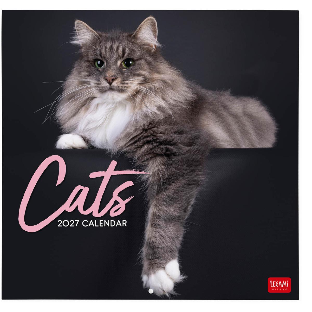 Imagen 0 de Calendario 2027 pared mes vista Cats Legami