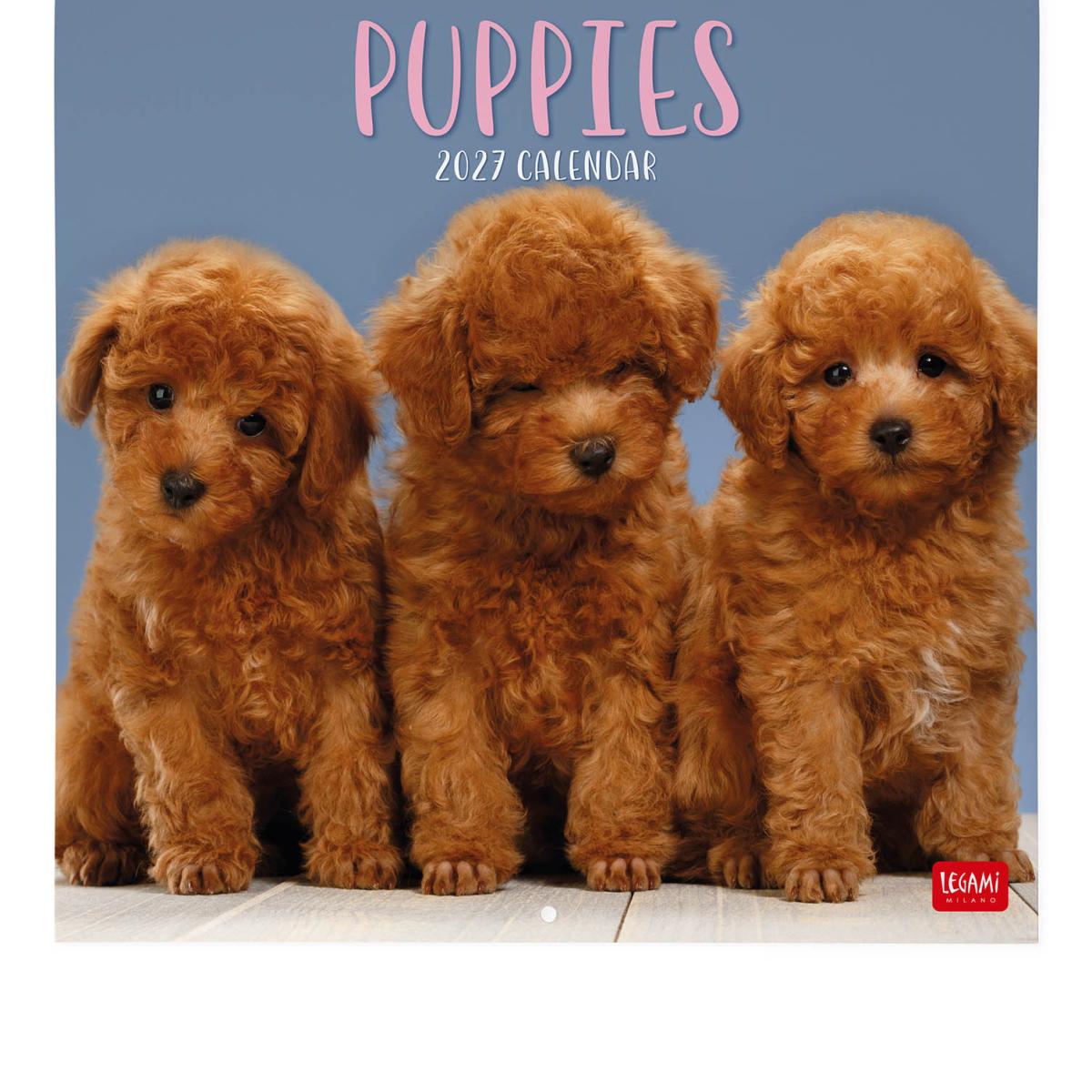 Imagen 0 de Calendario 2027 pared mes vista Puppies Legami