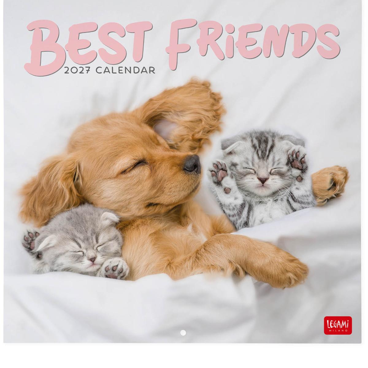 Imagen 0 de Calendario 2027 pared mes vista Best Friend Legami