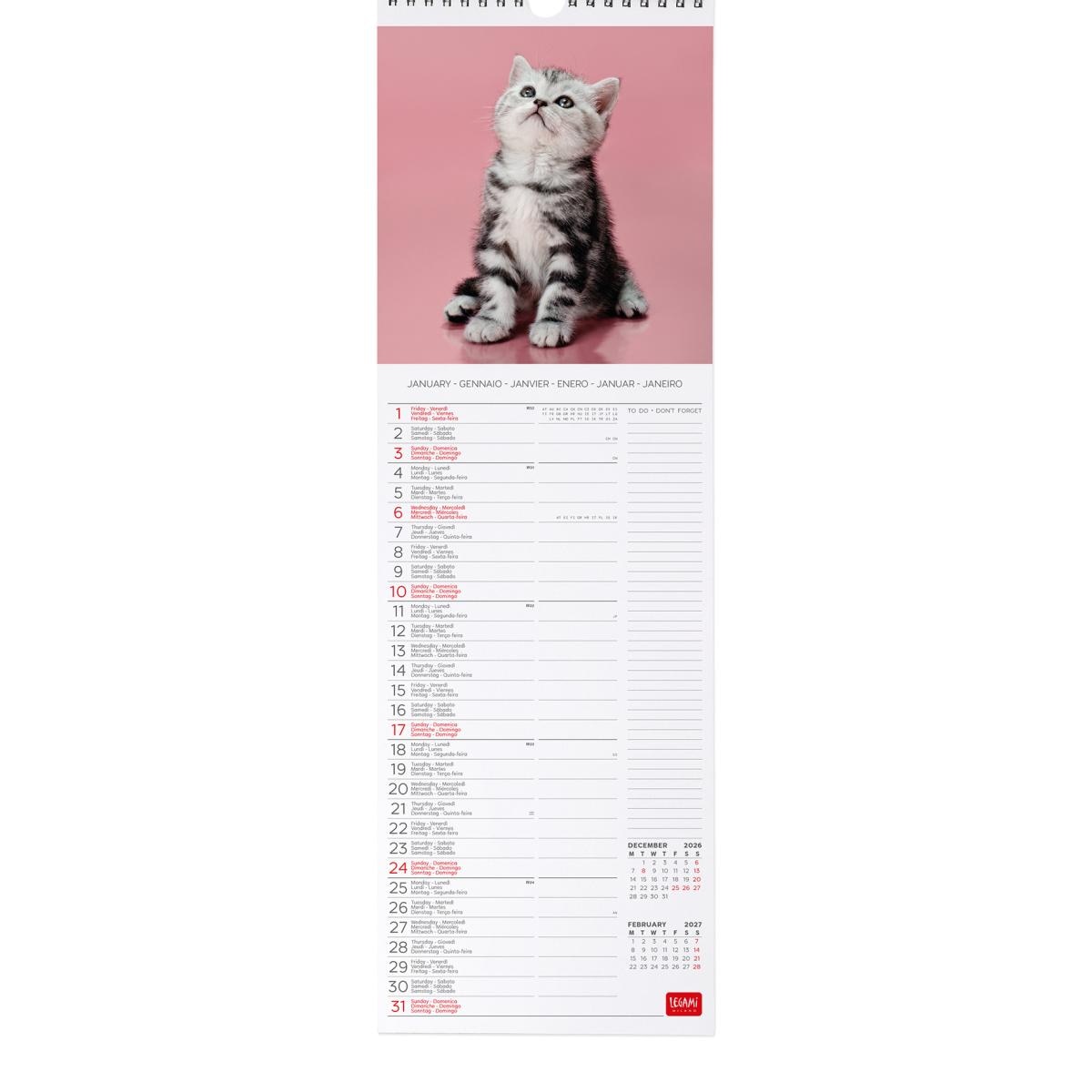 Calendario de Parede 2027 Vista por Mês Kittens Legami 2