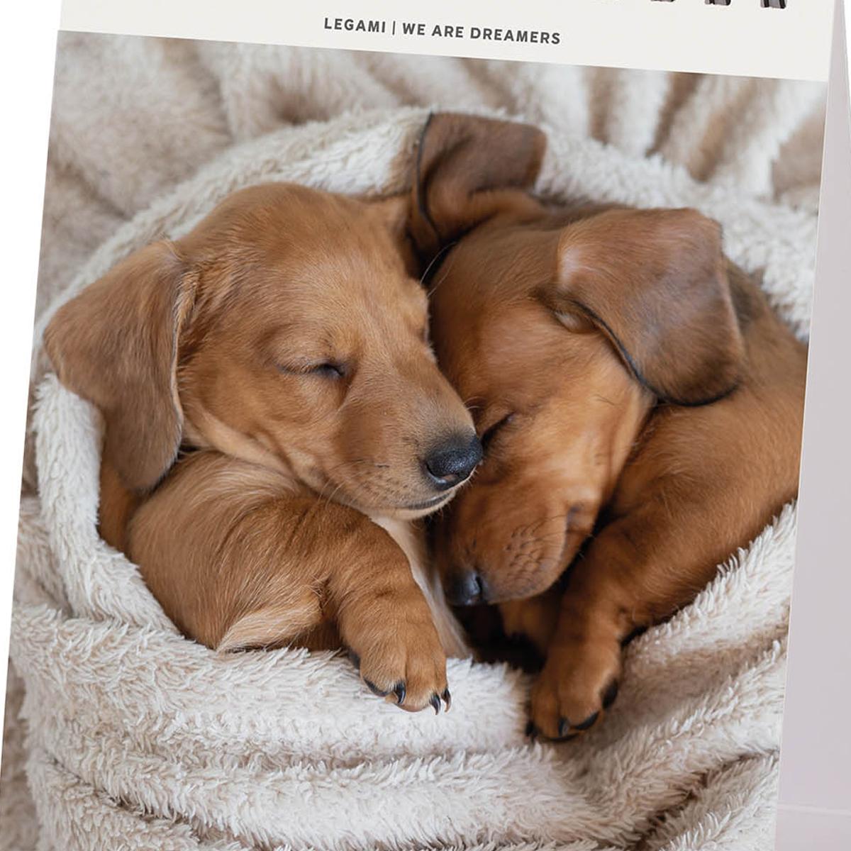 Calendario 2027 de Secretária Mês Vista Puppies Legami 2