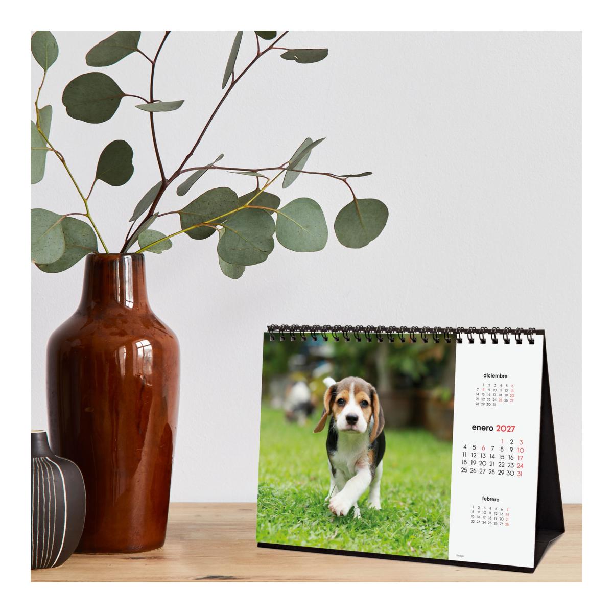 Calendario sobremesa año 2027 Imágenes S-210x150 mm Mes Vista Cachorros Finocam castellano Multicolor-3
