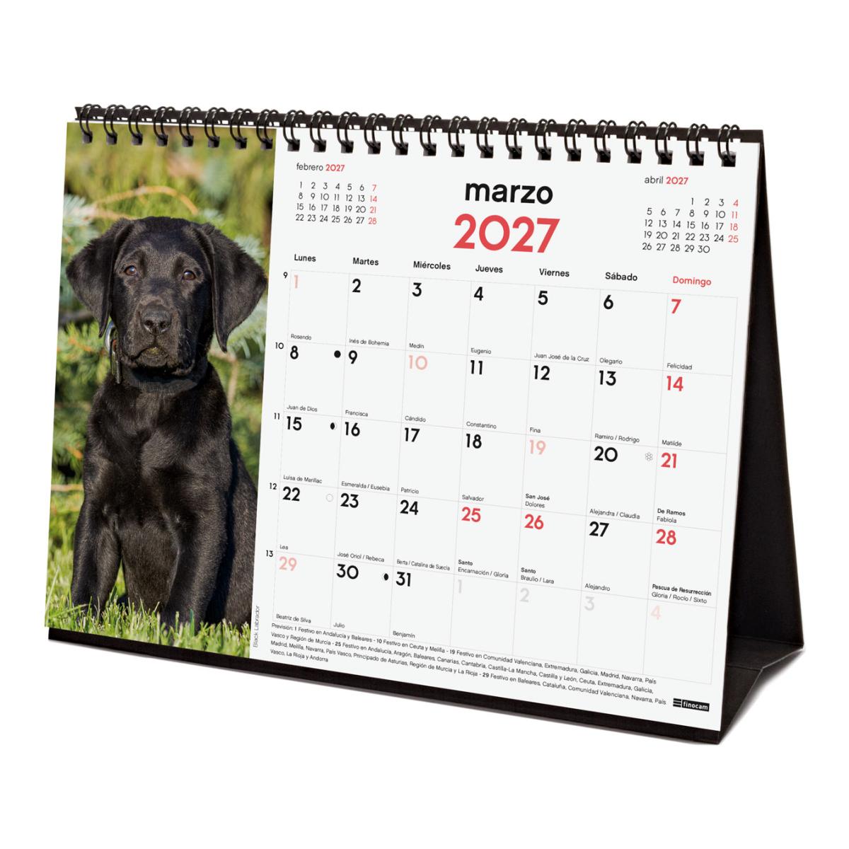 Calendario sobremesa año 2027 Imágenes S-210x150 mm Mes Vista Cachorros Finocam castellano Multicolor-4