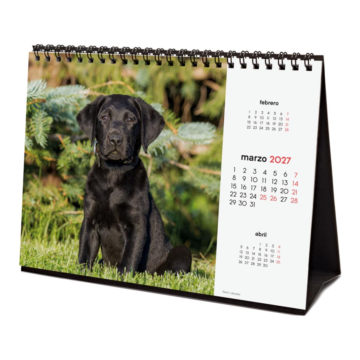 Calendario sobremesa año 2027 Imágenes S-210x150 mm Mes Vista Cachorros Finocam castellano Multicolor-5