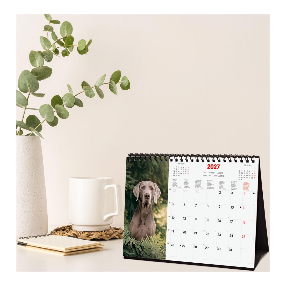 Calendário de secretária para o ano de 2027. Imagens S-210x150 mm. Vista mensal. Cães. Finocam internacional multilingue Multicolor-2