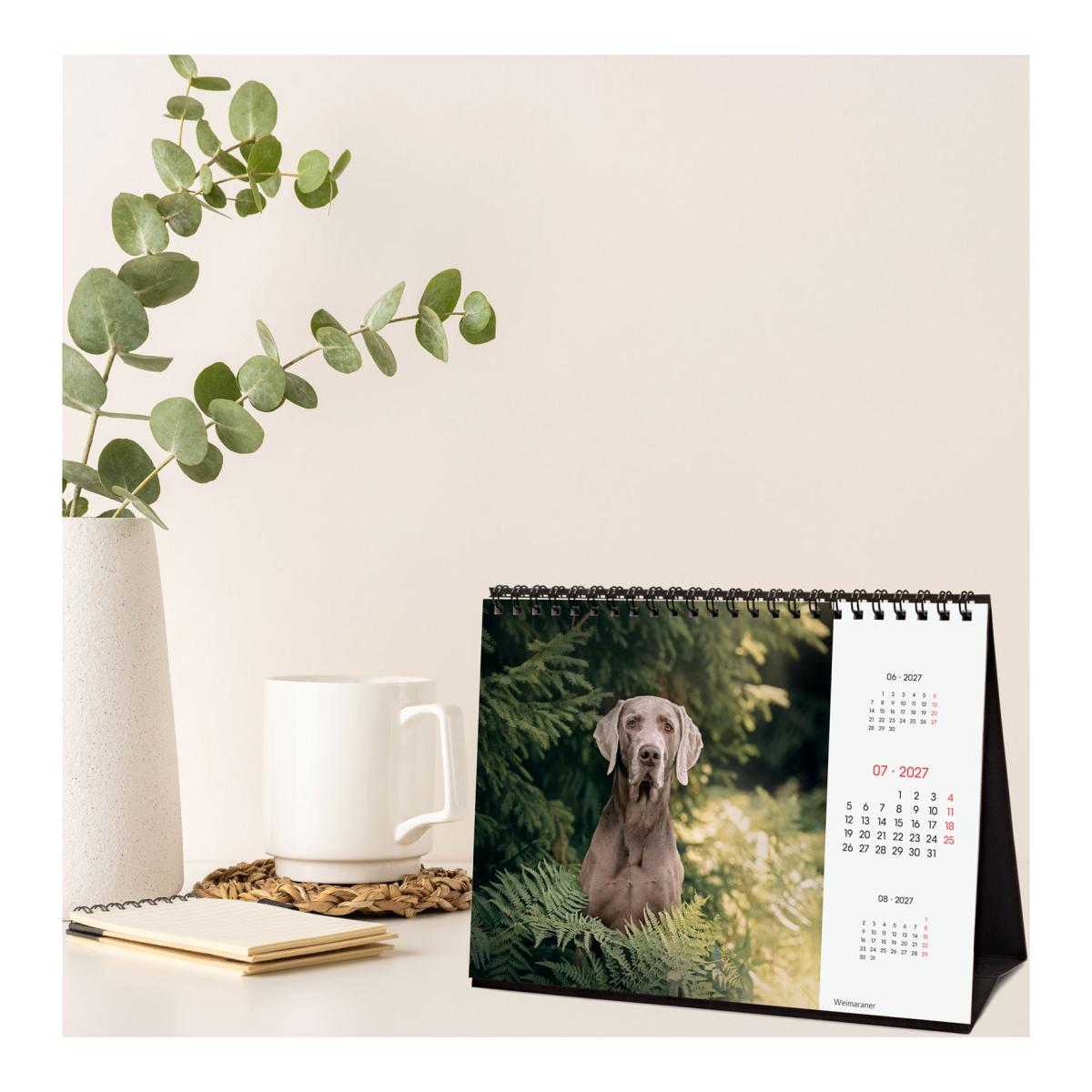 Calendário de secretária para o ano de 2027. Imagens S-210x150 mm. Vista mensal. Cães. Finocam internacional multilingue Multicolor-3