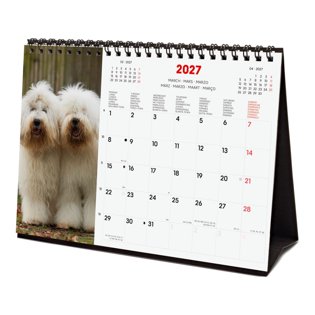 Calendário de secretária para o ano de 2027. Imagens S-210x150 mm. Vista mensal. Cães. Finocam internacional multilingue Multicolor-4
