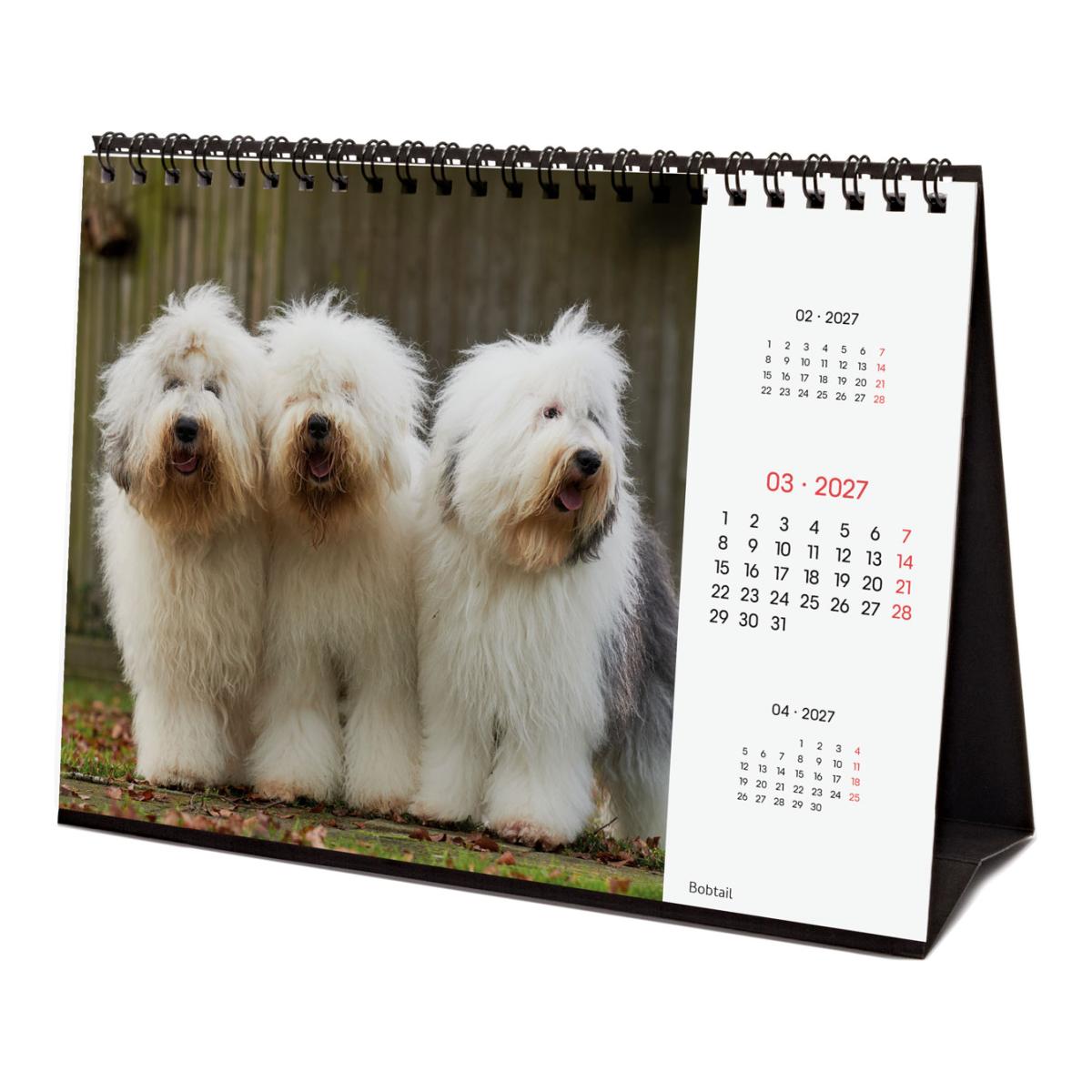 Calendário de secretária para o ano de 2027. Imagens S-210x150 mm. Vista mensal. Cães. Finocam internacional multilingue Multicolor-5