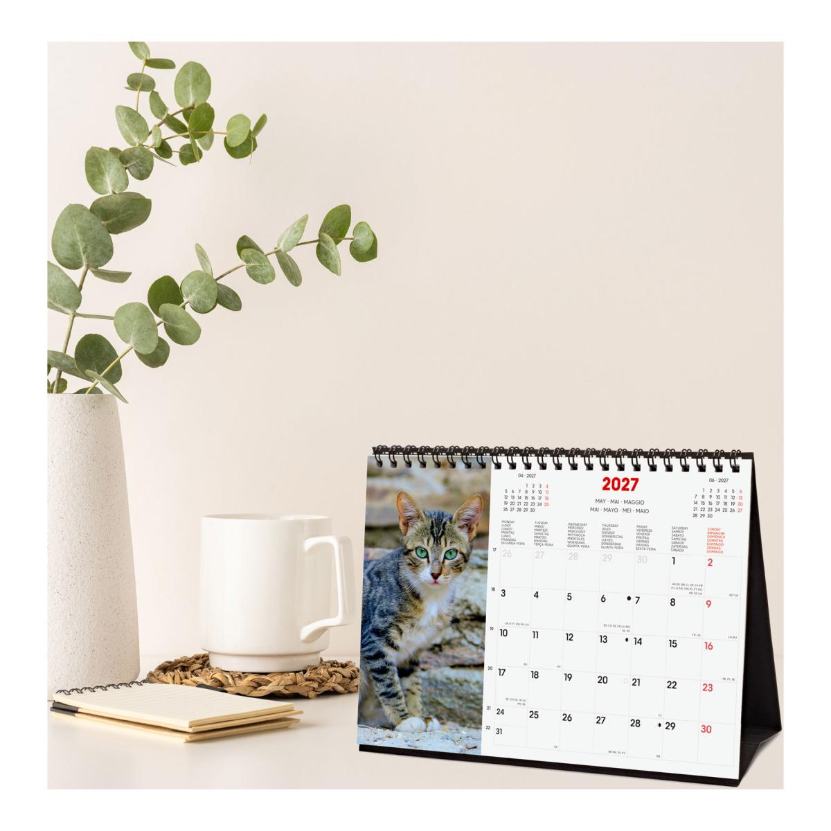 Calendário de secretária para o ano de 2027. Imagens S-210x150 mm. Vista mensal. Cats. Finocam internacional multilingue Multicolor-2
