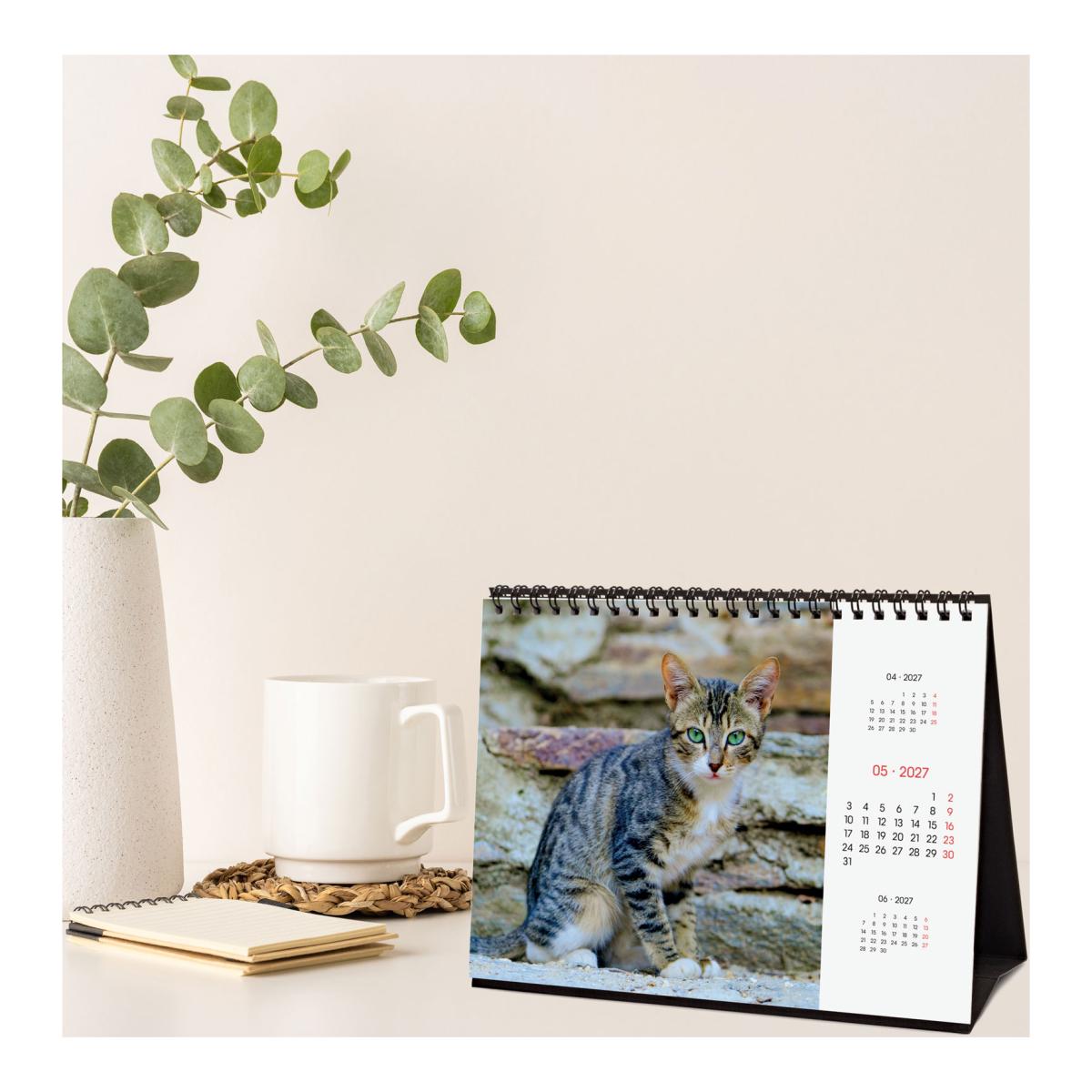Calendário de secretária para o ano de 2027. Imagens S-210x150 mm. Vista mensal. Cats. Finocam internacional multilingue Multicolor-3