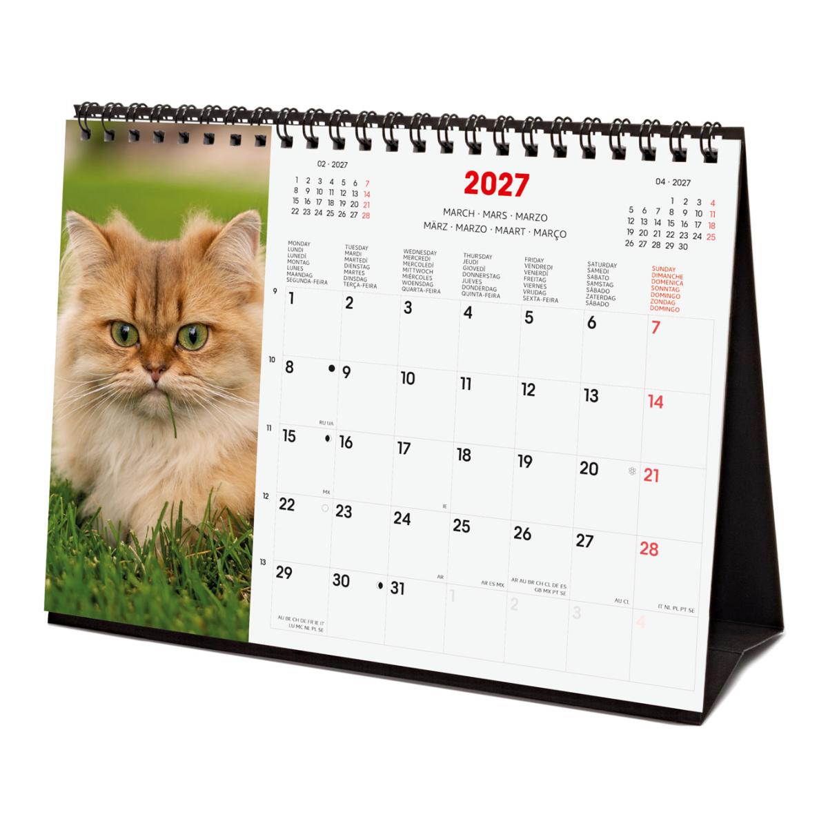Calendário de secretária para o ano de 2027. Imagens S-210x150 mm. Vista mensal. Cats. Finocam internacional multilingue Multicolor-4