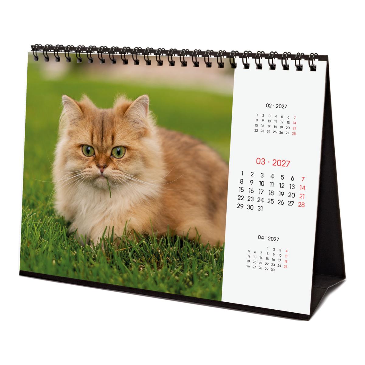 Calendário de secretária para o ano de 2027. Imagens S-210x150 mm. Vista mensal. Cats. Finocam internacional multilingue Multicolor-5