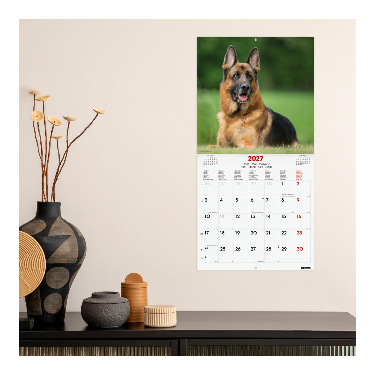 Calendário de parede para o ano de 2027 Imagens 300x300 mm Vista mensal Cães Finocam internacional multilingue Multicolor-2