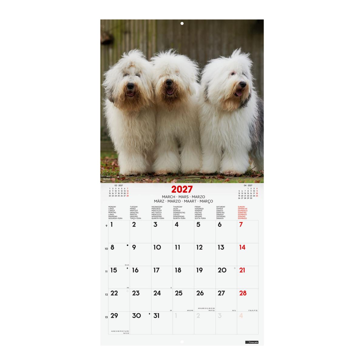 Calendário de parede para o ano de 2027 Imagens 300x300 mm Vista mensal Cães Finocam internacional multilingue Multicolor-3