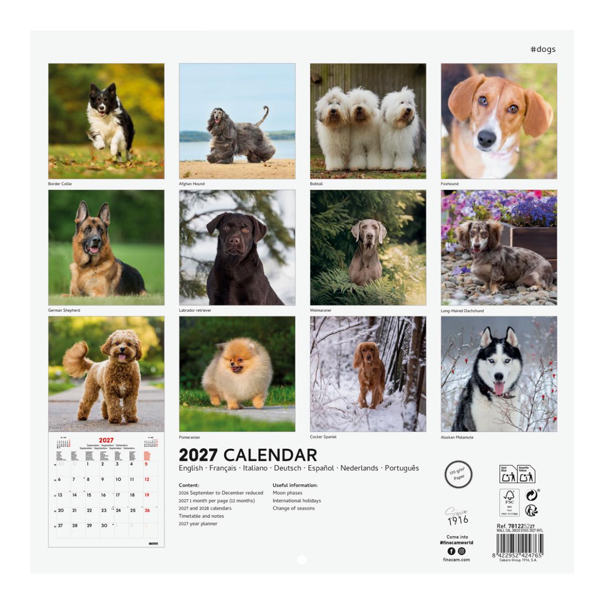 Calendário de parede para o ano de 2027 Imagens 300x300 mm Vista mensal Cães Finocam internacional multilingue Multicolor-4