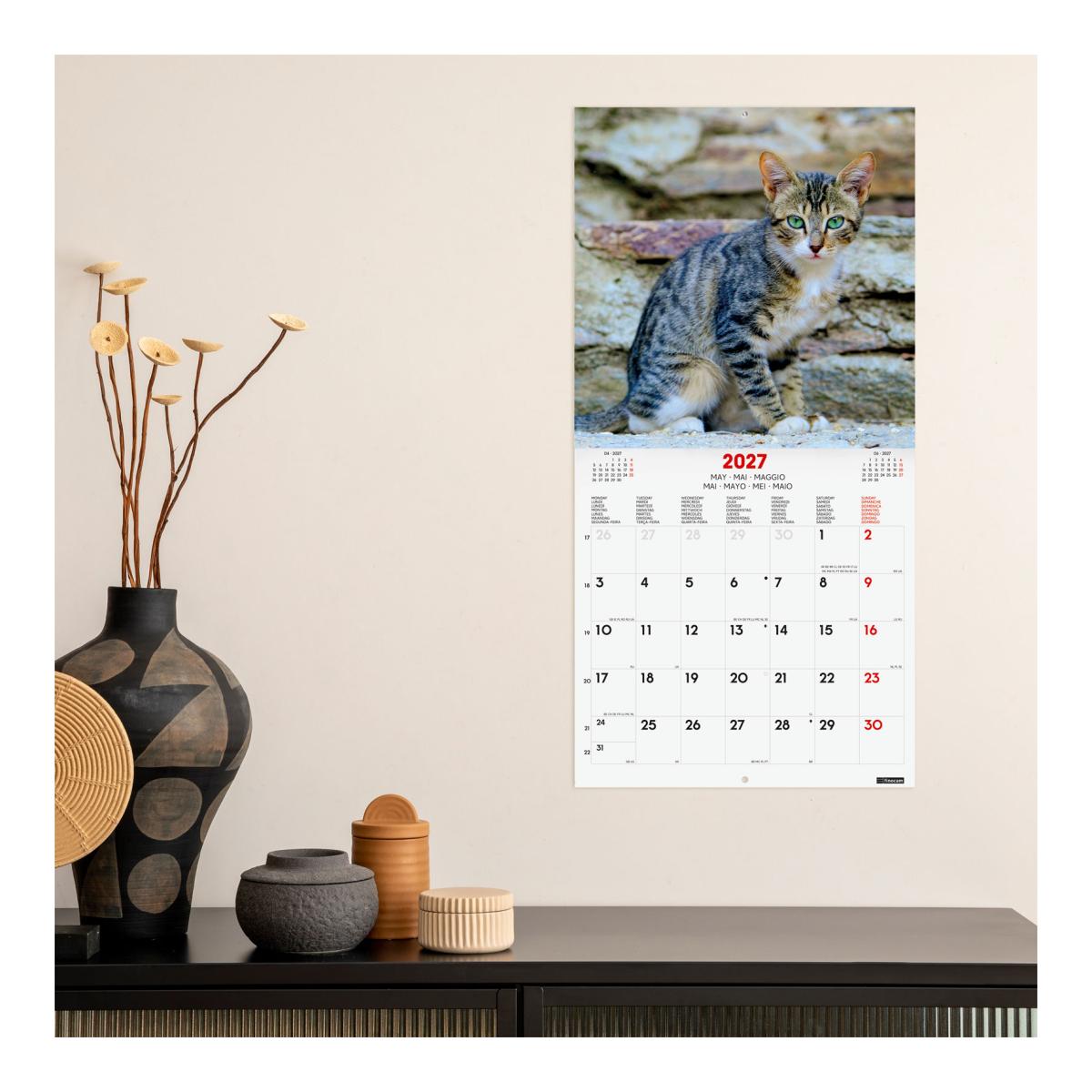 Calendário de parede para o ano de 2027 Imagens 300x300 mm Vista mensal Cats Finocam internacional multilingue Multicolor-2