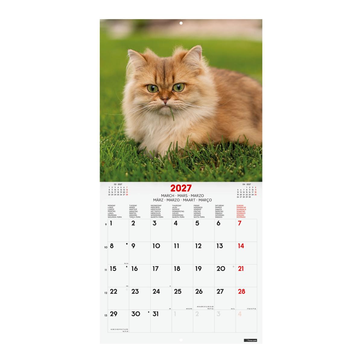 Calendário de parede para o ano de 2027 Imagens 300x300 mm Vista mensal Cats Finocam internacional multilingue Multicolor-3