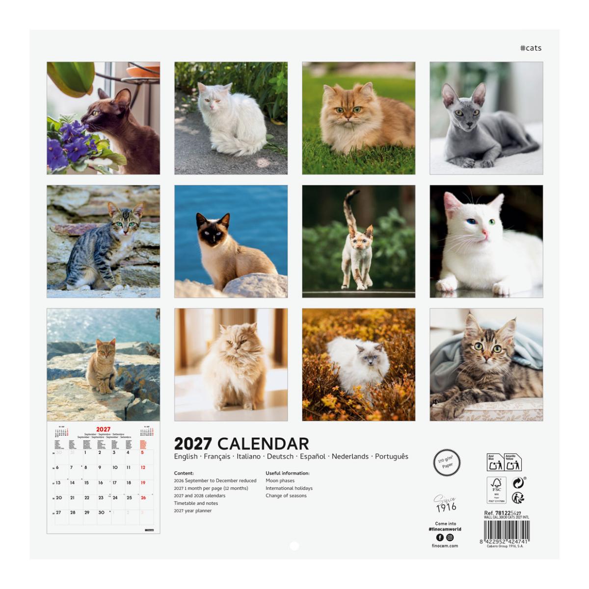 Calendário de parede para o ano de 2027 Imagens 300x300 mm Vista mensal Cats Finocam internacional multilingue Multicolor-4