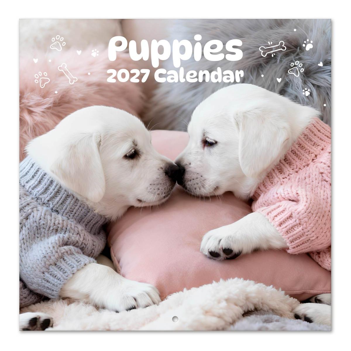 Imagen 0 de Calendario de pared 2027 30x30 16 Meses Erik Blanco Multiliingüe