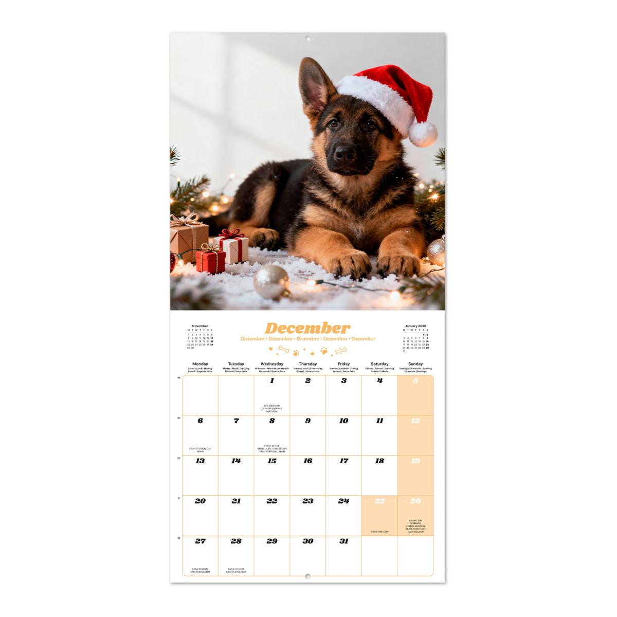 Calendario de pared 2027 30x30 16 Meses Erik Blanco Multiliingüe Blanco-3