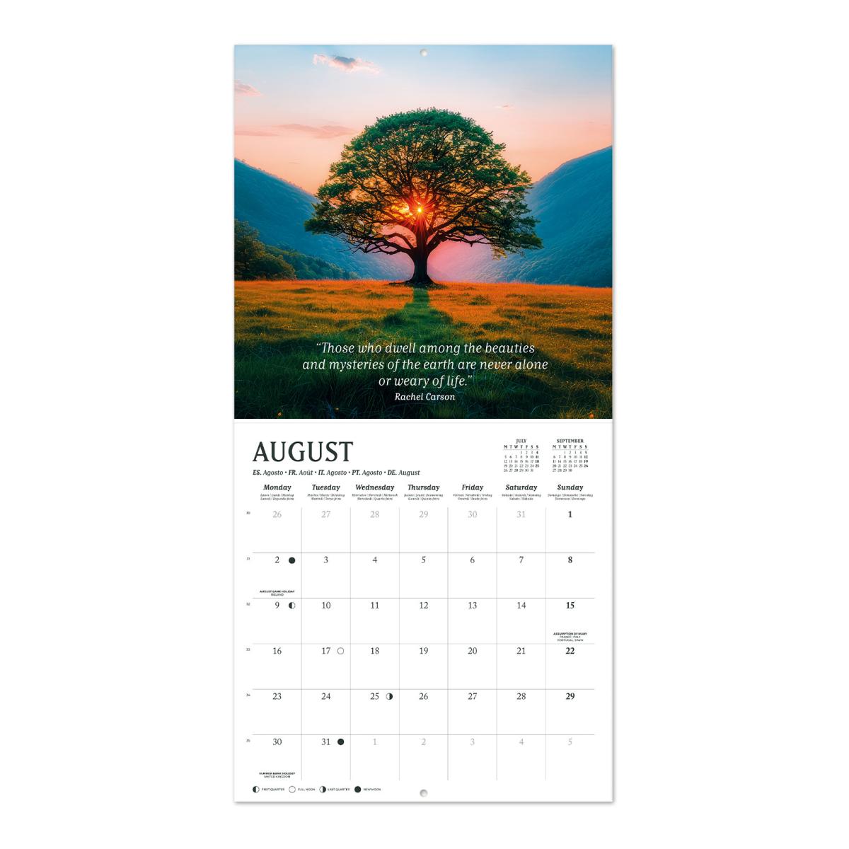 Calendário de Parede 2027 30x30 16 Meses Erik Blue Multiliingüe Azul-3