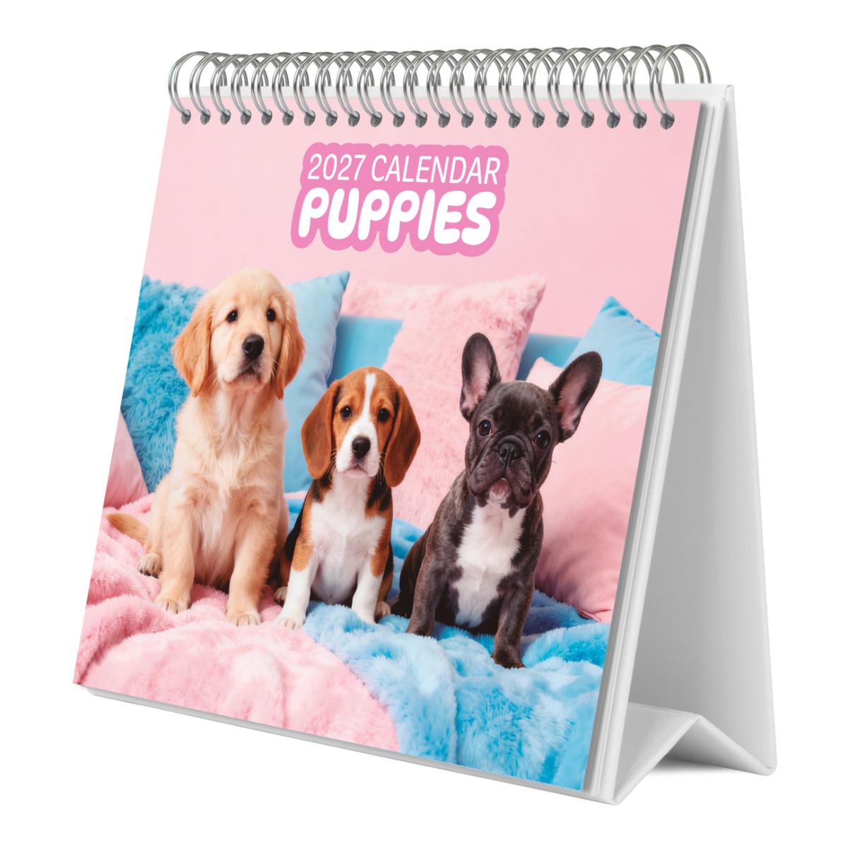 Imagem 0 de Calendário de Parede 2027 30x30 16 Meses Erik Pink Multiliingüe