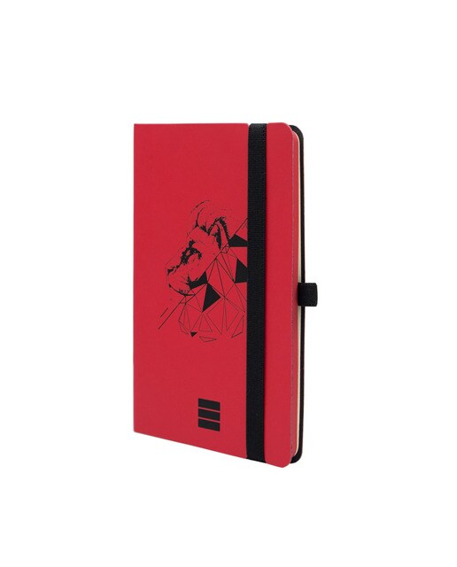 Imagem 0 de Caderno de capa mole 72 folhas 80 g m2 Desenho 100x150 mm liso Lion Finocam