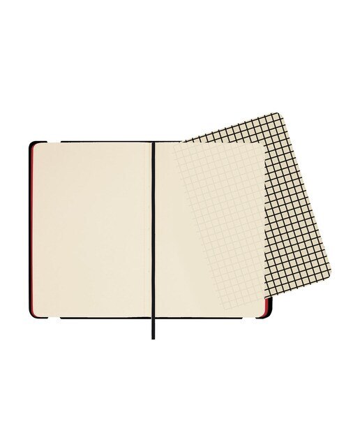 Caderno de capa mole 72 folhas 80 g m2 Desenho 100x150 mm liso Lion Finocam Multicolor-2
