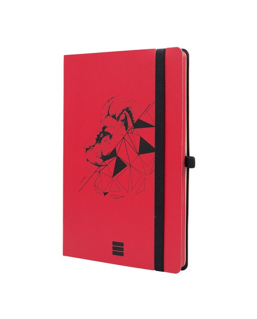 Caderno de capa mole 72 folhas 80 g m2 Desenho A5-148x210 mm liso Lion Finocam Multicolor-1
