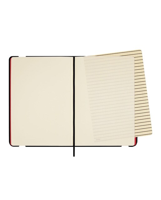 Caderno de capa mole 72 folhas 80 g m2 Desenho A5-148x210 mm liso Lion Finocam Multicolor-7