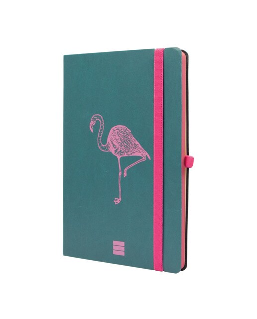 Caderno de capa mole 72 folhas 80 g m2 Desenho A5-148x210 mm liso Flamingo Finocam Multicolor-1
