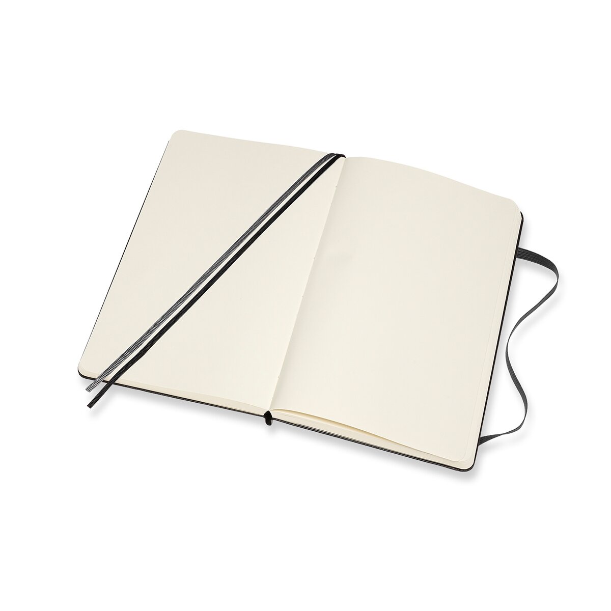 Caderno Large Expanded Capa Dura Folhas Lisas Classic Moleskine Preto Preto-2