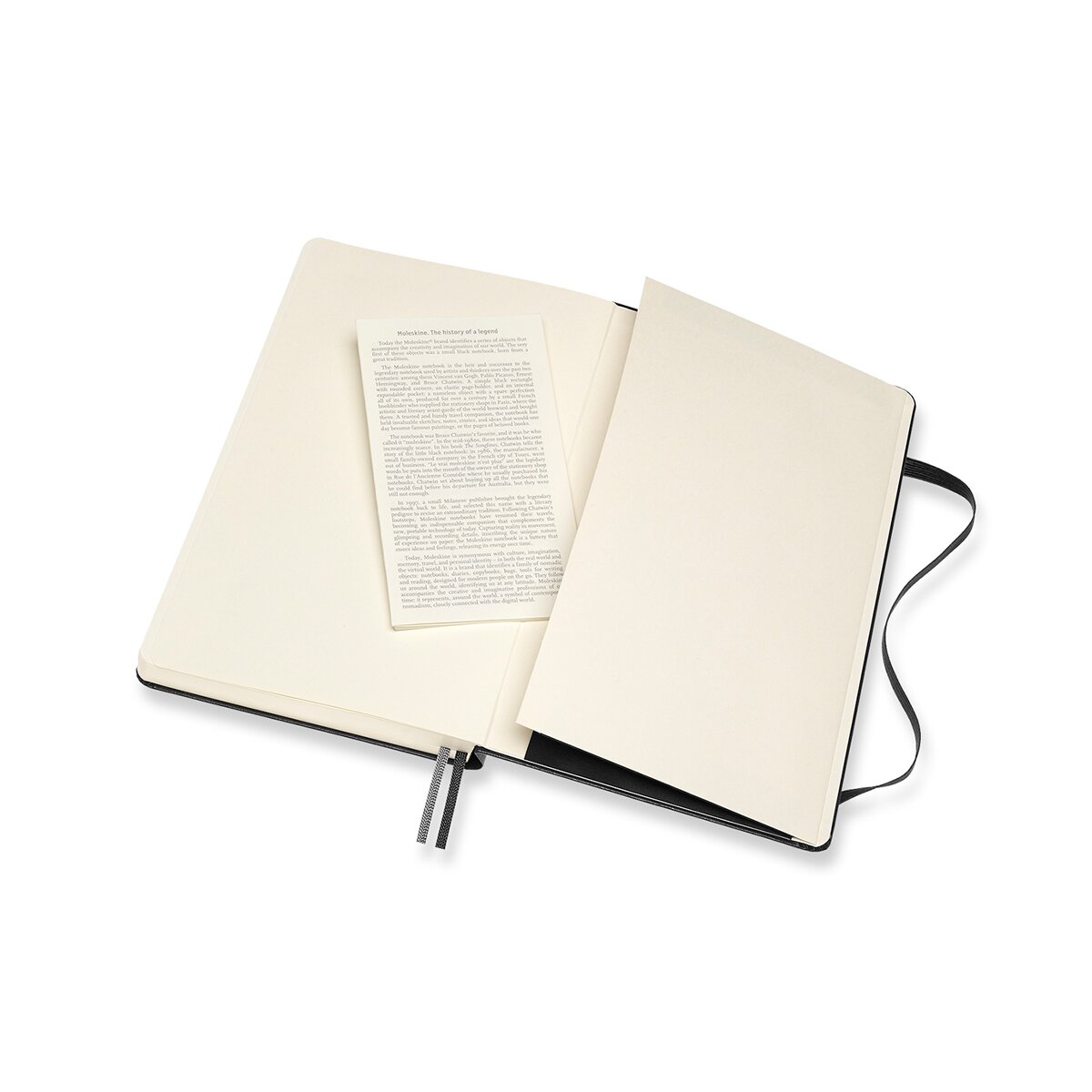 Caderno Large Expanded Capa Dura Folhas Lisas Classic Moleskine Preto Preto-3