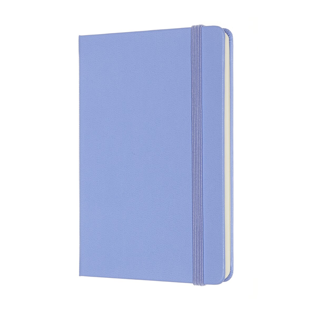 Caderno Classic Pocket Capa Dura Folhas Lisas - Azul-Hortênsia Azul-2