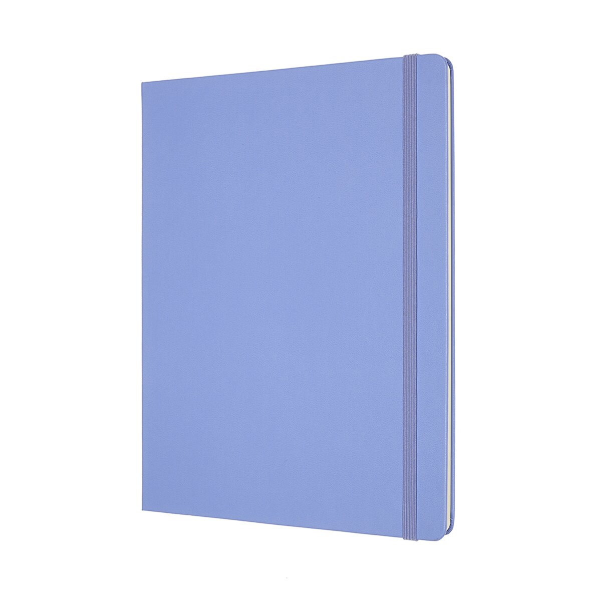 Caderno Classic Extralarge Capa Dura Folhas Lisas - Azul Hortênsia Azul-2