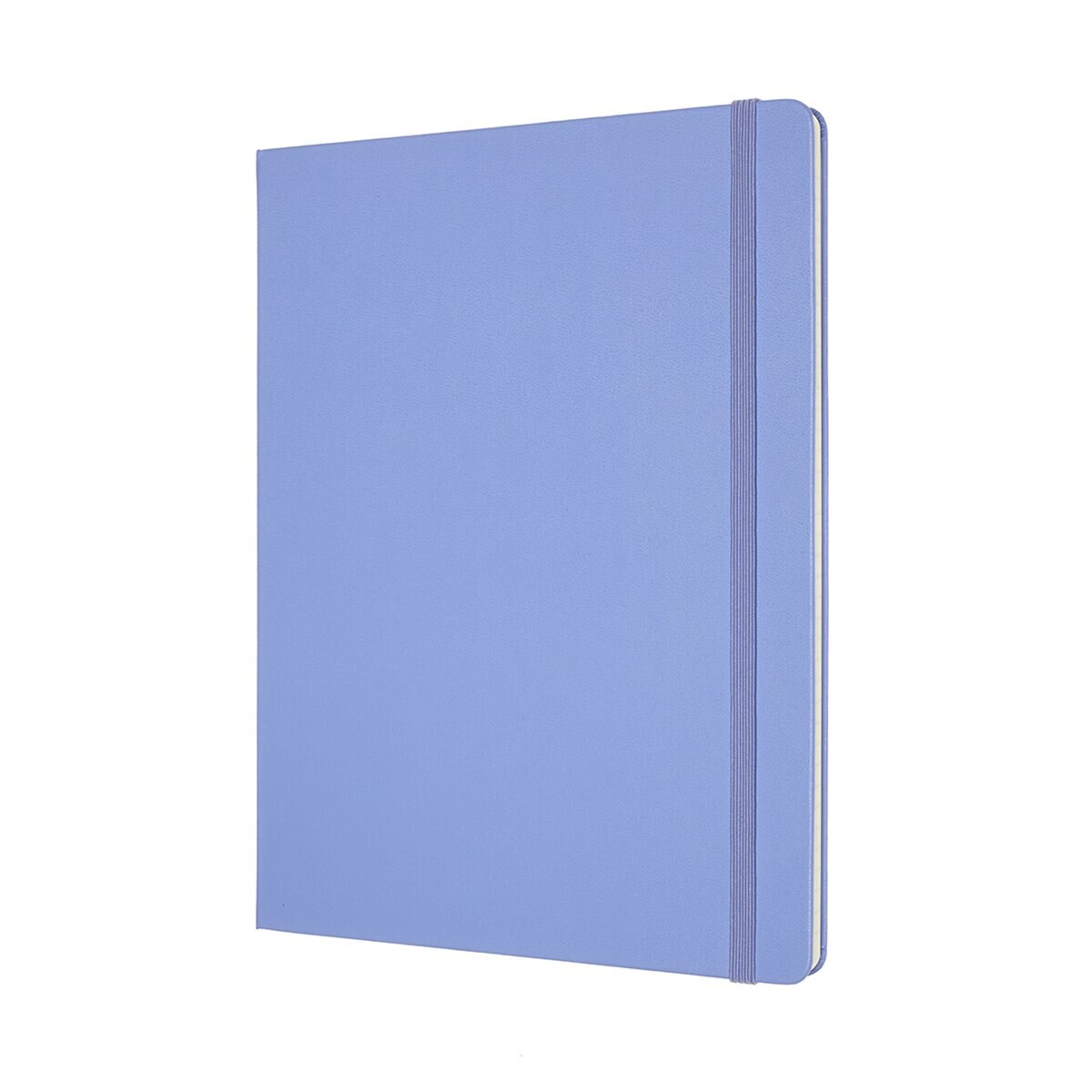 Caderno Classic Extralarge Capa Dura Folhas Pautadas - Azul Hortênsia Azul-2