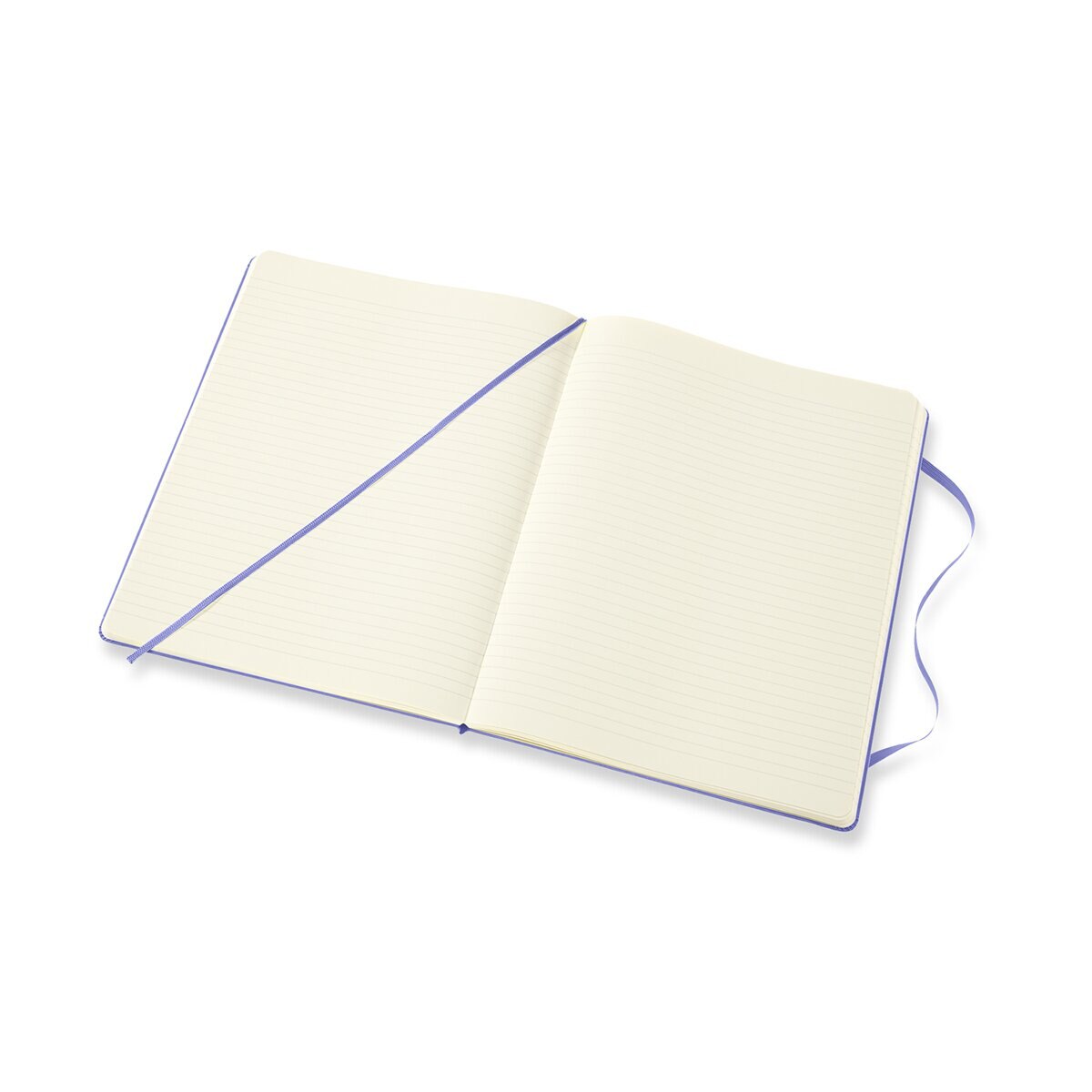 Caderno Classic Extralarge Capa Dura Folhas Pautadas - Azul Hortênsia Azul-3