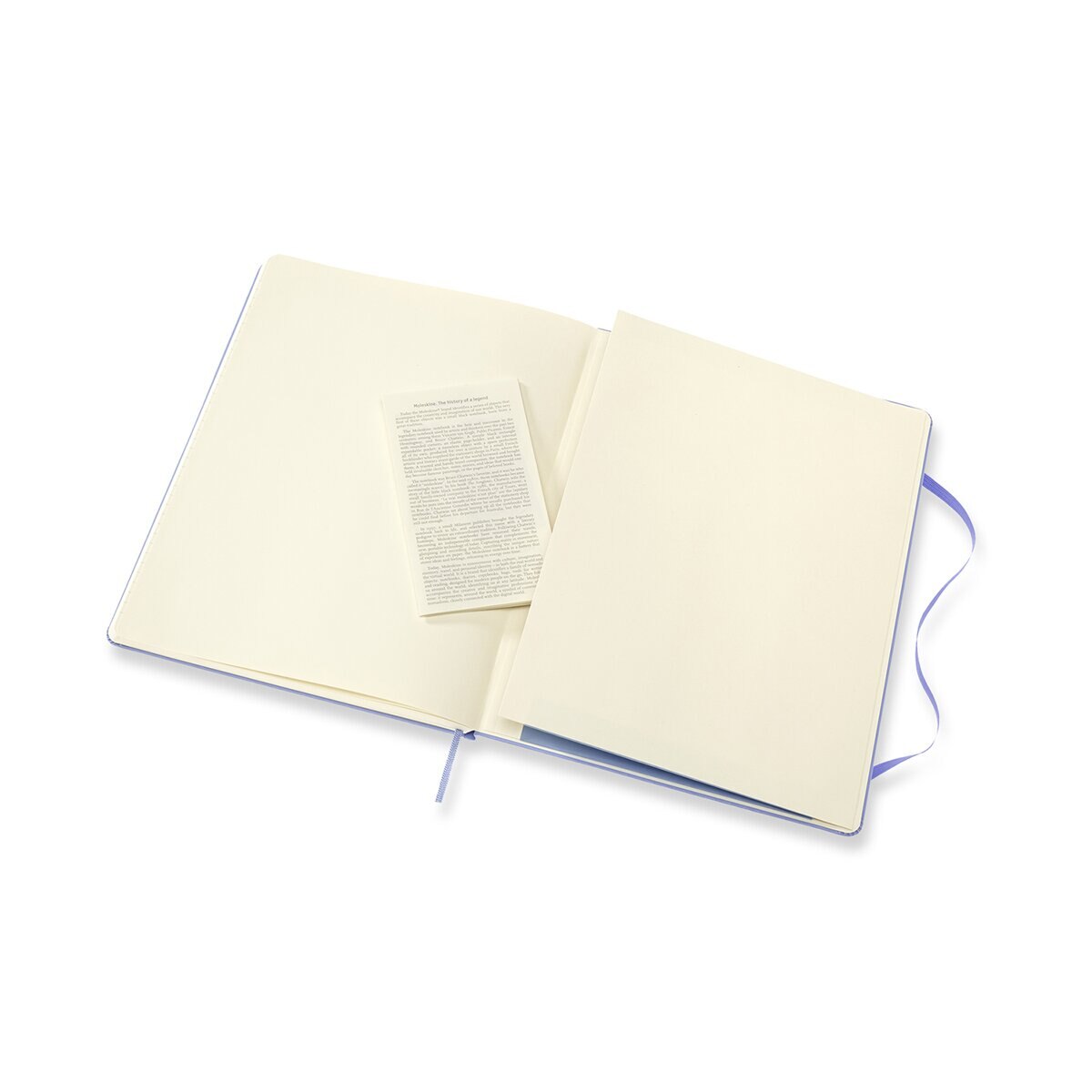 Caderno Classic Extralarge Capa Dura Folhas Pautadas - Azul Hortênsia Azul-5