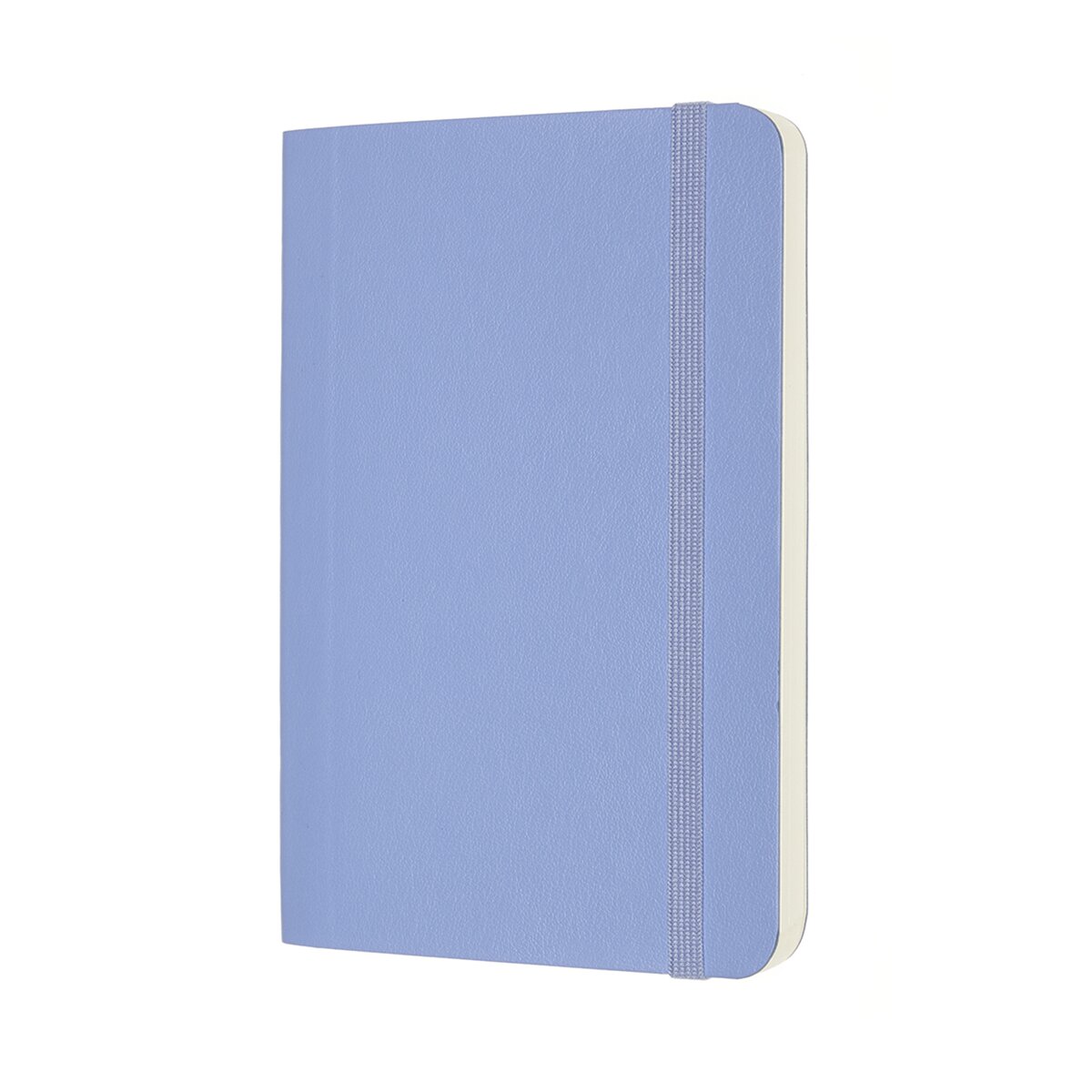 Caderno Classic Pocket Capa Mole Folhas Lisas - Azul Hortênsia Azul-2