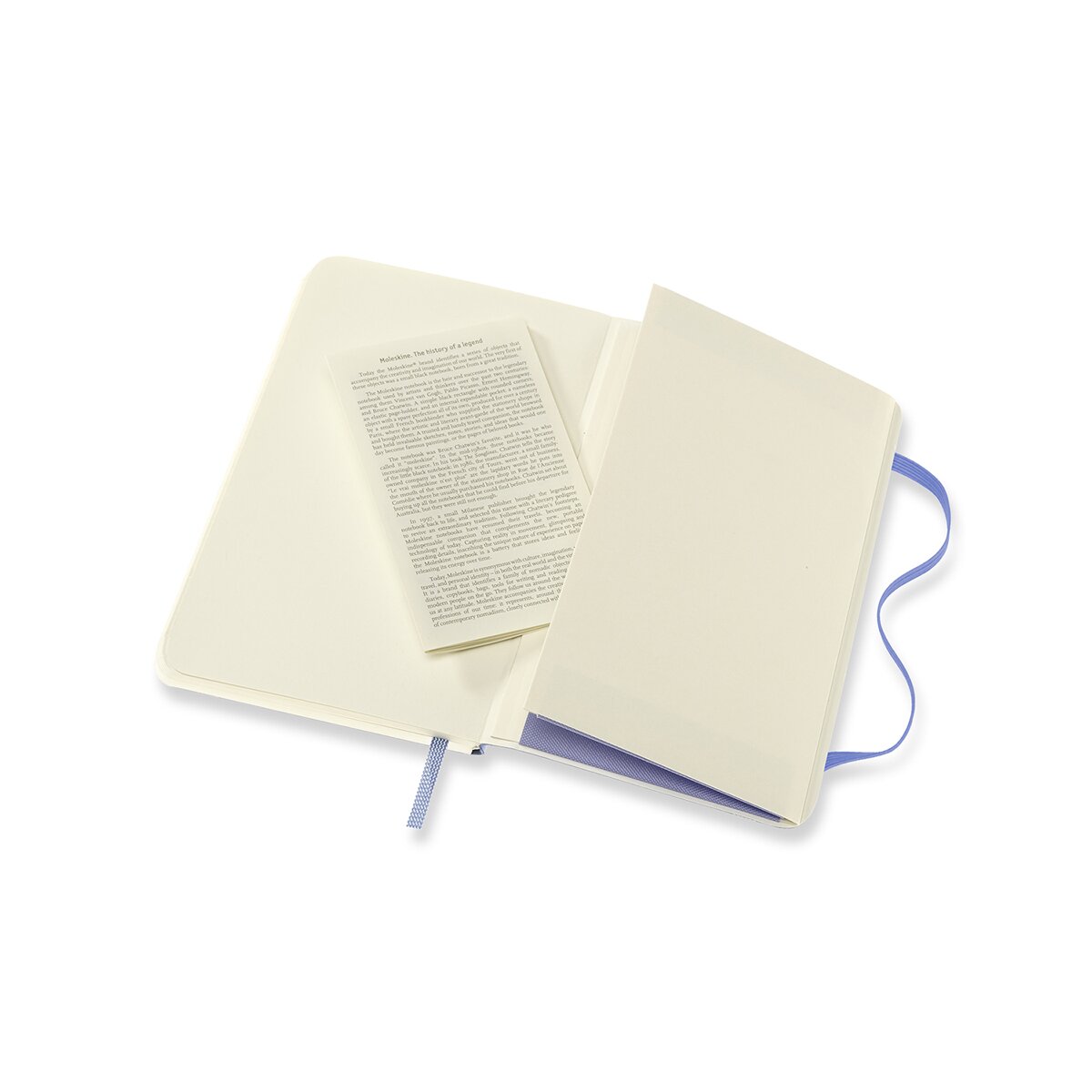 Caderno Classic Pocket Capa Mole Folhas Lisas - Azul Hortênsia Azul-5
