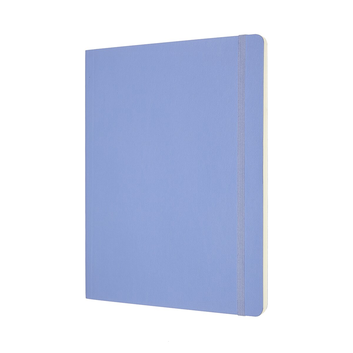 Caderno Classic Extralarge Capa Mole Folhas Lisas - Azul Hortênsia Azul-2