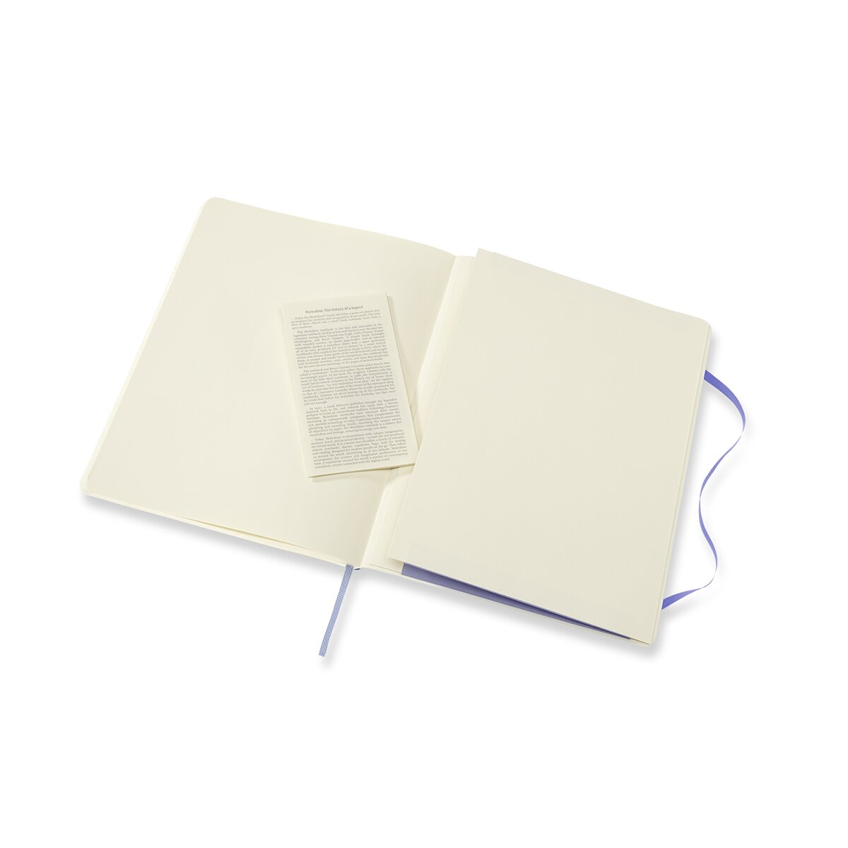 Caderno Classic Extralarge Capa Mole Folhas Lisas - Azul Hortênsia Azul-5
