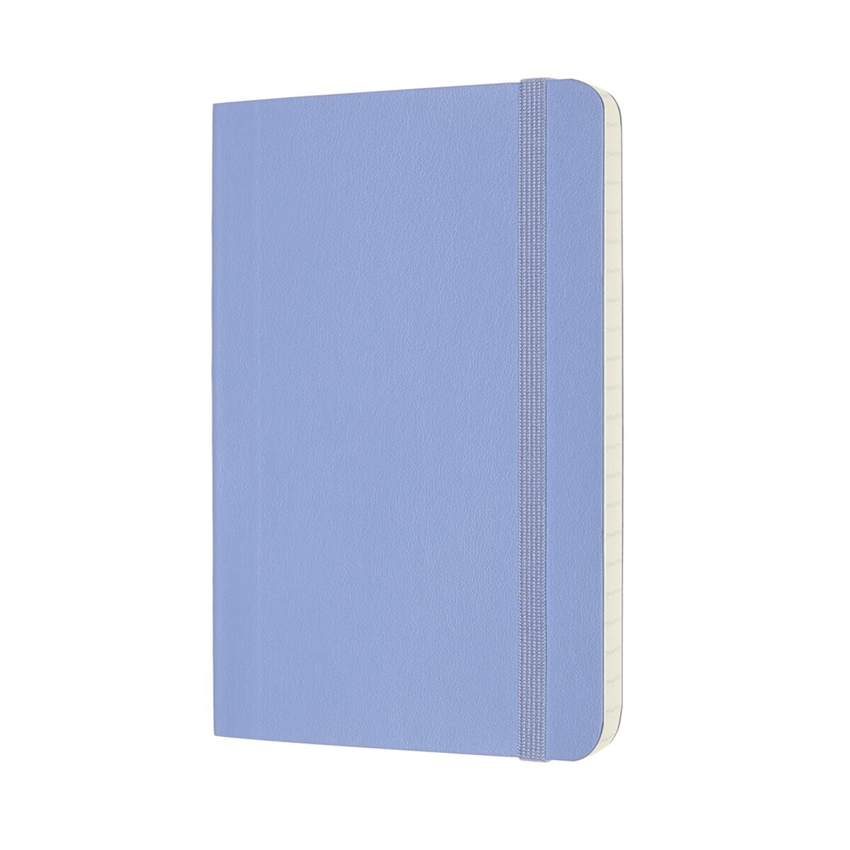 Caderno Classic Pocket Capa Mole Folhas Pautadas - Azul Hortênsia Azul-2