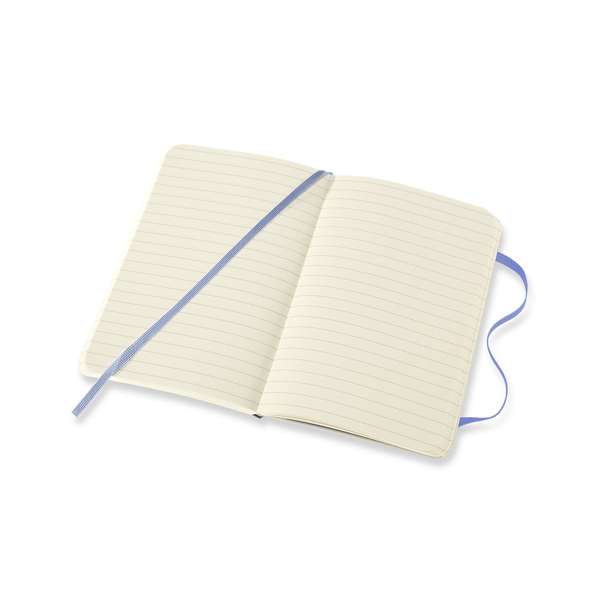 Caderno Classic Pocket Capa Mole Folhas Pautadas - Azul Hortênsia Azul-4
