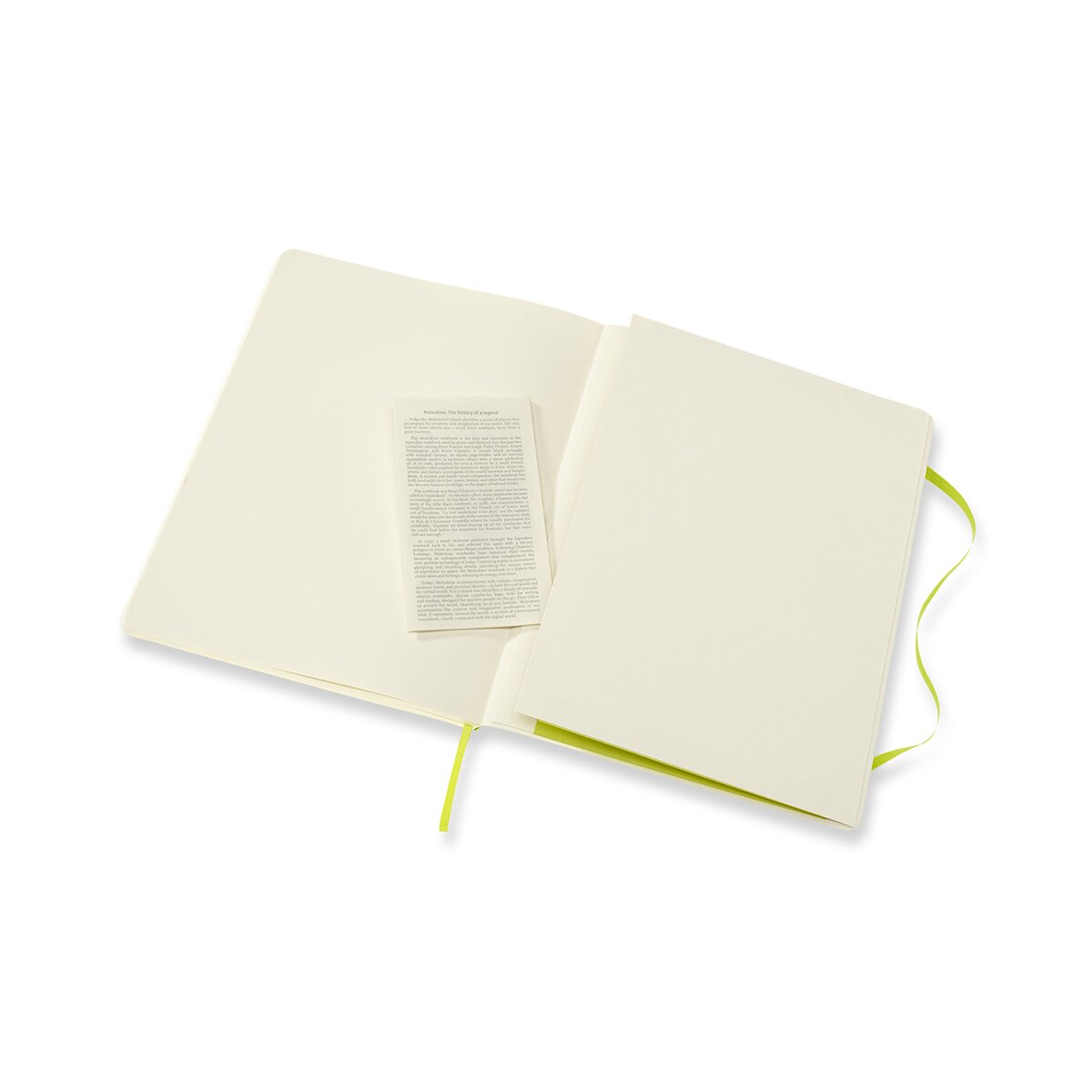 Caderno Classic ExtraLarge Capa Mole Folhas Lisas - Verde Limão Verde-5