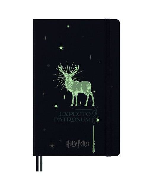 Caderno Edição limitada Harry Potter Expecto Patronum Riscas Azul Azul-2